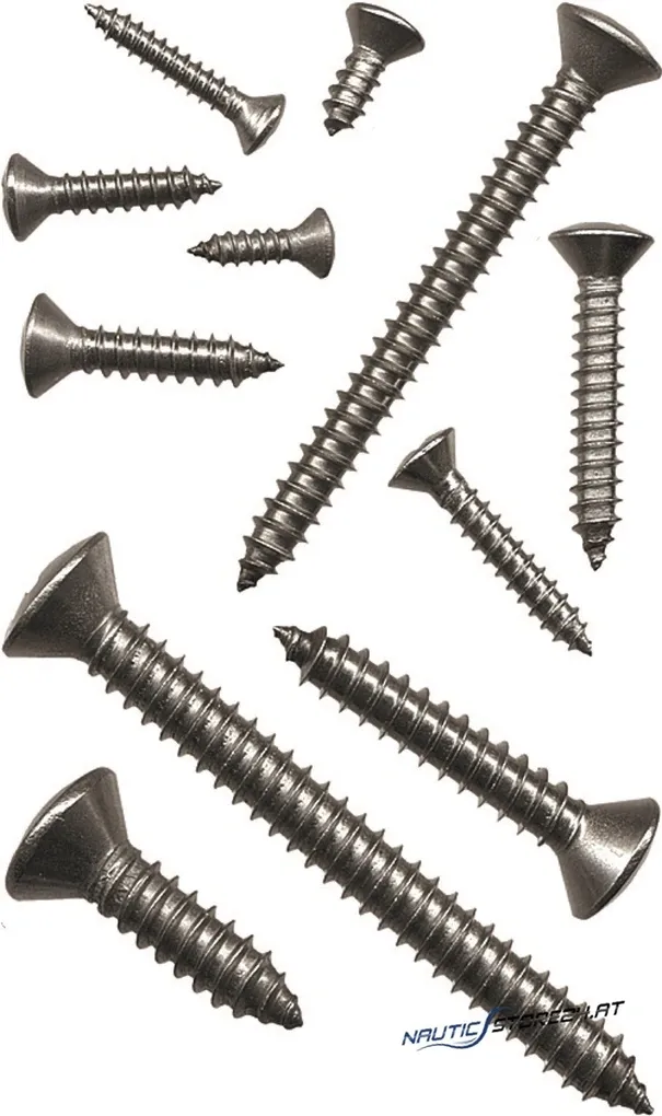 Niroblechschrauben Linsensenkkopf | Abmessung: 2,9 x 9,5mm